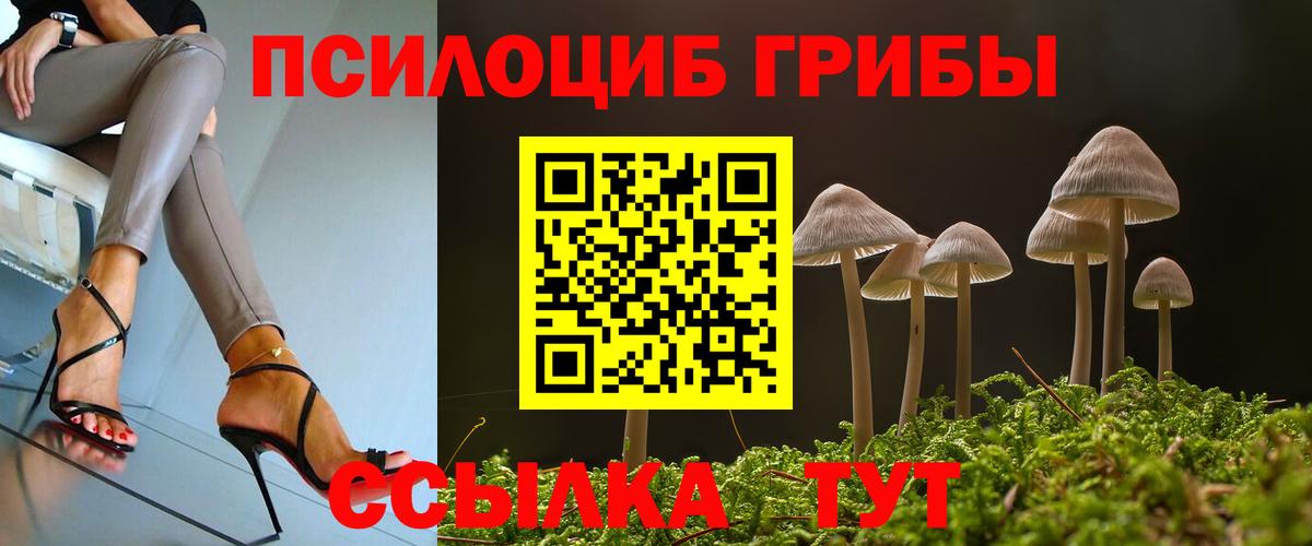 Галлюциногенные грибы Psilocybe  Вход с VPN  Тимашёвск 